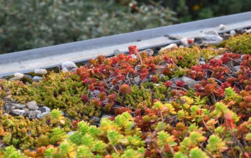 the cost of Rose Ash green roof installation