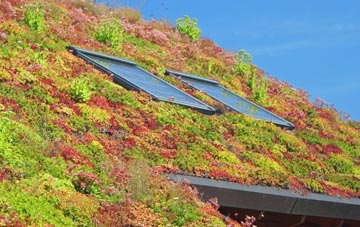 Rose Ash living roof systems