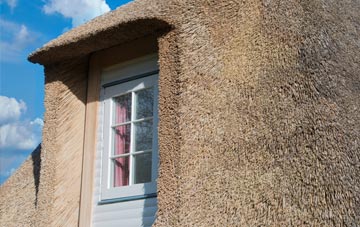 Rose Ash thatch roof disadvantages